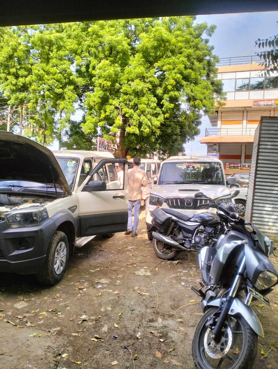 Yogi Car Garage Photo 2